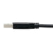 EAN 37332218391 - Tripp Lite U428-006 cable USB USB 3.2 Gen 1 (3.1 Gen 1) 1,83 m USB C USB A 5 Gbit/s Negro imagen 7