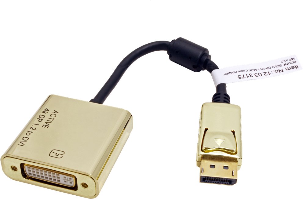 EAN 7611990150380 - ROLINE 12.03.3175 adaptador de cable de vídeo 0,15 m DisplayPort DVI-D Oro imagen 2