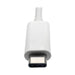 EAN 0037332193940 - Tripp Lite U444-06N-HGU-C Adaptador gráfico USB 1920 x 1080 Pixeles imagen 10