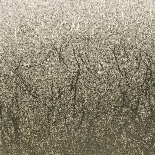 EAN 0093573728570 - Cricut Premium Rollo de vinilo de termotransferencia imagen 2