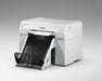 EAN 8715946727691 - Epson C13T43U14N cartucho de tinta imagen 36