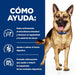 EAN 0052742026862 - Hills 605843 alimento húmedo para perros Pollo, Ternera Universal 1,5 kg imagen 3