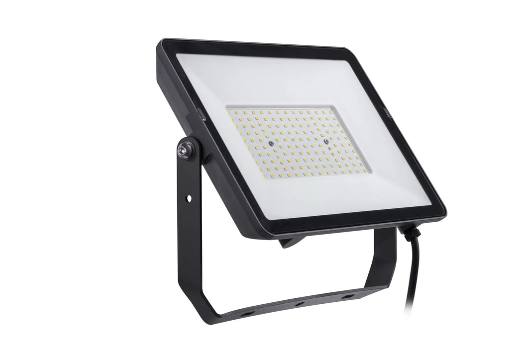 EAN 8719514954625 - Philips 8719514954625 Reflector Negro 100 W LED imagen 1