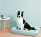 EAN 6931580106032 - PETKIT Four - S Cama para mascotas imagen 4