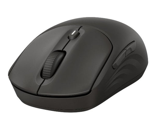 EAN 0198701895213 - HP 405 Quiet ratón Universal Ambidextro RF Wireless + Bluetooth Óptico 1200 DPI imagen 1