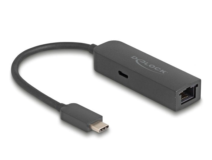 EAN 4043619669387 - DeLOCK 66938 adaptador y tarjeta de red Ethernet 5000 Mbit/s imagen 1