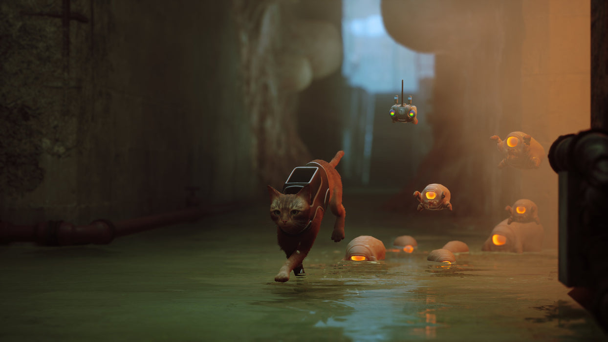 EAN 0811949035196 - Skybound Games Stray Estándar Italiano PlayStation 5 imagen 15
