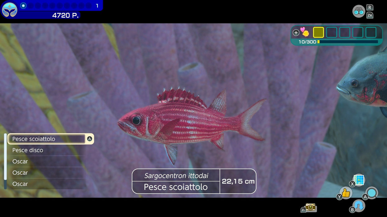 EAN 45496511838 - Nintendo Endless Ocean Luminous Estándar Italiano Nintendo Switch imagen 6