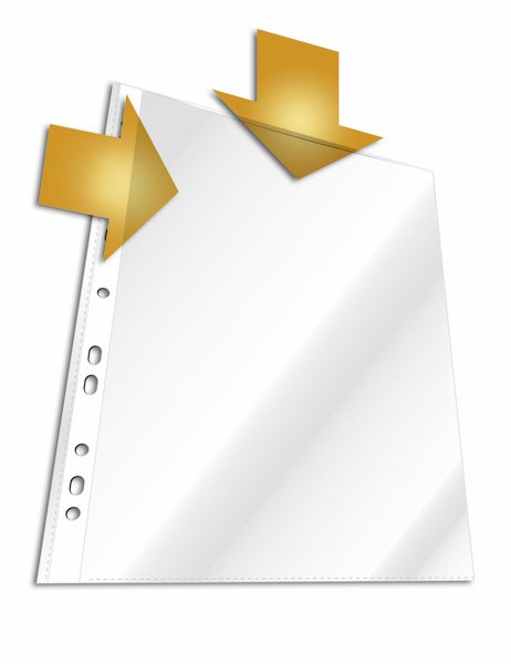 EAN 4005546231020 - Durable 2663-19 protector de hojas 210 x 297 mm (A4) Polipropileno (PP) 10 pieza(s) imagen 1