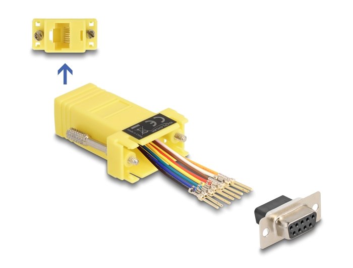 EAN 4043619671076 - DeLOCK 67107 tarjeta y adaptador de interfaz RJ-45 imagen 1