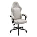 EAN 4711649770983 - COUGAR CGR-FXF-ASW Silla para videojuegos universal Asiento acolchado Ceniza imagen 8