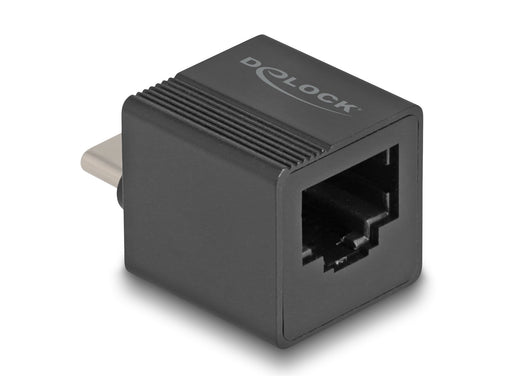 EAN 4043619664627 - DeLOCK 66462 tarjeta y adaptador de interfaz RJ-45 imagen 2