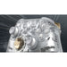 EAN 196388334124 - Microsoft Ghost Cipher Oro, Gris claro, Transparente Bluetooth/USB Gamepad Analógico/Digital Android, PC,  imagen 2