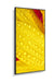 EAN 5028695127487 - NEC MultiSync M551-2 Diseño de quiosco 127 cm (50") LED 4K Ultra HD Negro Procesador incorporado imagen 12