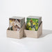 EAN 4056133021067 - ULTIMATE GUARD Return to Earth Boulder Deck box imagen 4