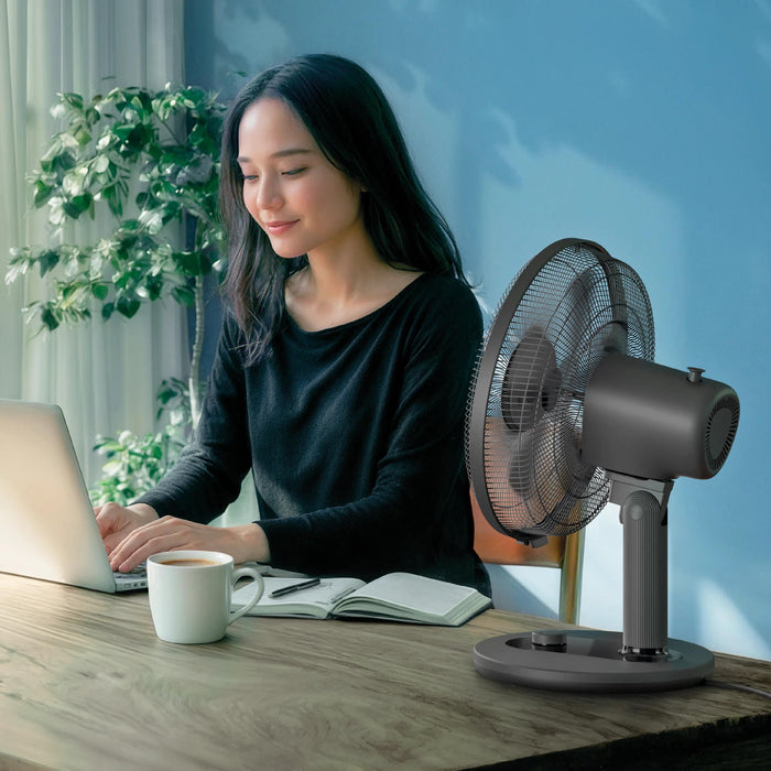 EAN 8720389078972 - Philips CX1030/01 ventilador Negro imagen 6