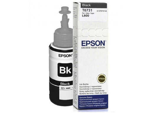 EAN 8715946495293 - Epson T6731 Original imagen 1