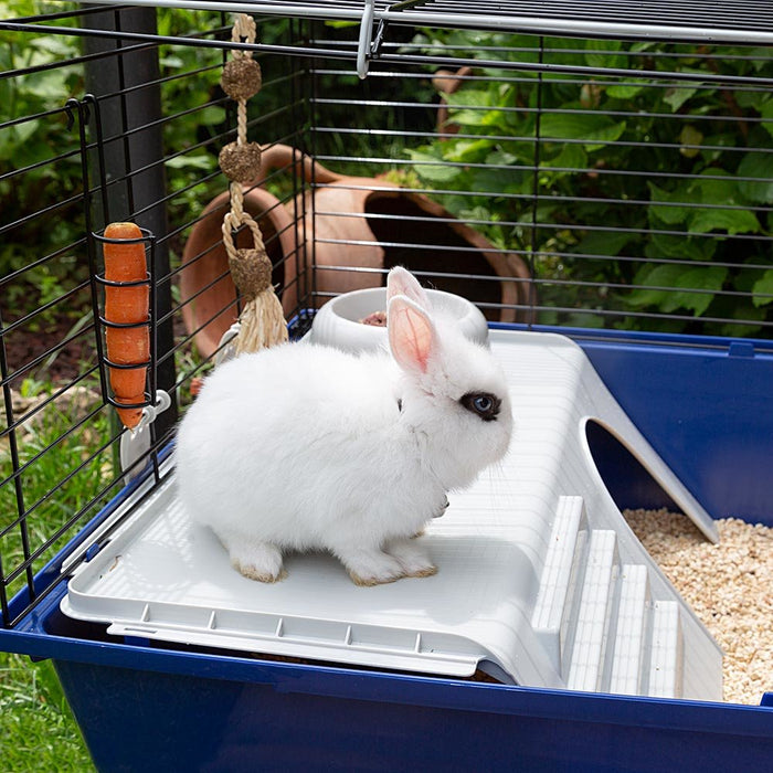 EAN 8010690101606 - Ferplast Rabbit 120 Conejo Azul imagen 4