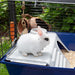 EAN 8010690101606 - Ferplast Rabbit 120 Conejo Azul imagen 4