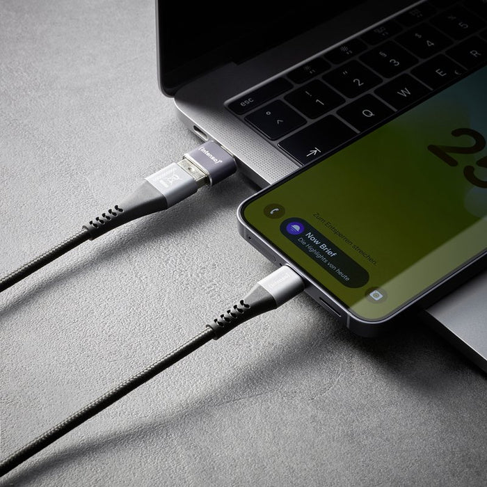 EAN 4034303038152 - Intenso 7600913 cambiador de género para cable Gris imagen 15