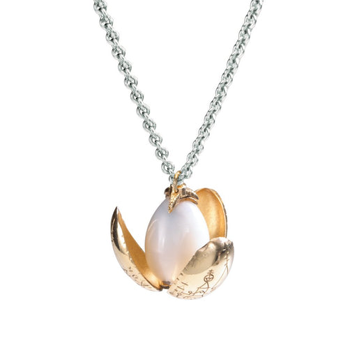 EAN 0812370010127 - Noble Collection NN7533 Oro, Madera imagen 2