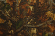 EAN 8719324224109 - Buteo Photo Gear 720005 cubierta impermeable para cámaras Cámara DSLR Poliéster imagen 4