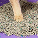 EAN 6973293800630 - PETKIT PKCL04 imagen 2