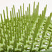 EAN 8021735210214 - Muitomas HAIRBRUSHGN cepillo para el cabello y peine Adulto Cepillo paleta para el pelo Verde 1 pieza(s) imagen 2
