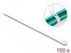 EAN 4043619186426 - DeLOCK 18642 presilla Bridas adherentes para cables Nylon 100 pieza(s) imagen 1