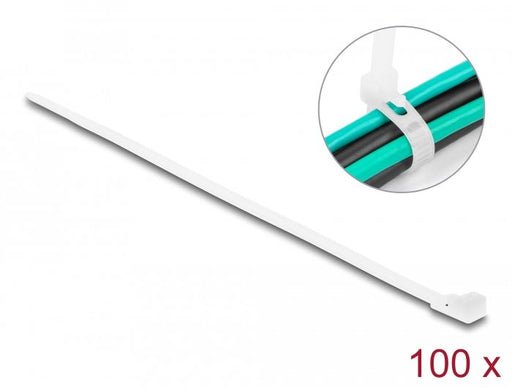 EAN 4043619186426 - DeLOCK 18642 presilla Bridas adherentes para cables Nylon 100 pieza(s) imagen 1