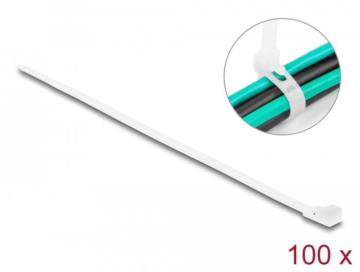 EAN 4043619186426 - DeLOCK 18642 presilla Bridas adherentes para cables Nylon 100 pieza(s) imagen 1