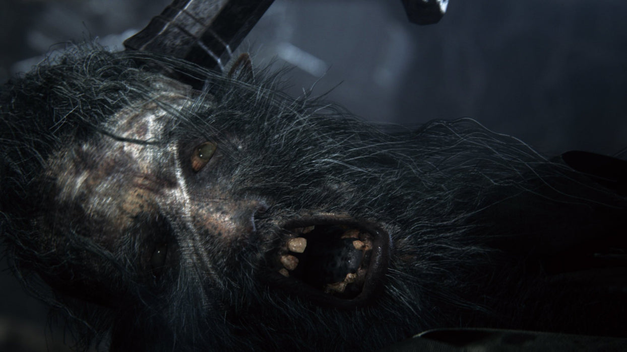 EAN 0711719436775 - Sony Bloodborne, Playstation 4 Estándar Inglés, Italiano imagen 30