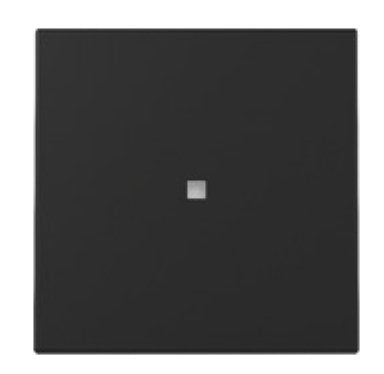 EAN 4010337067047 - GIRA 3290005 accesorio de interruptor eléctrico Placa de botón para dispositivos de mando y señalización imagen 1