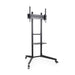 EAN 8433281013391 - TooQ Ramsés 177,8 cm (70") imagen 1