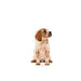 EAN 9003579008324 - Royal Canin Medium Puppy Carnes Cachorro 140 g imagen 3