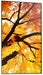 EAN 4550556130974 - Sharp MultiSync M552 Pantalla plana para señalización digital 139,7 cm (55") LCD 550 cd / m² 4K Ultra HD  imagen 4