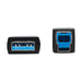 EAN 37332260277 - Tripp Lite U328F-20M cable USB USB 3.2 Gen 1 (3.1 Gen 1) USB A USB B 5 Gbit/s Negro imagen 3