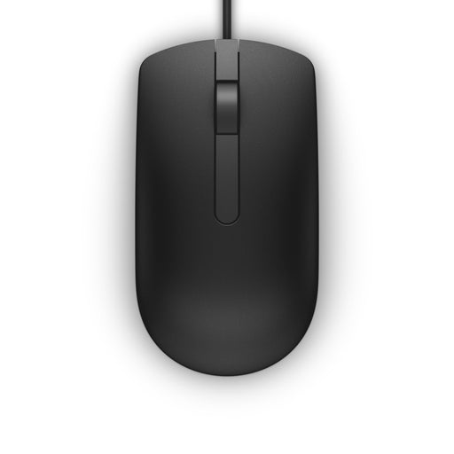 EAN 5704174208303 - DELL MS116 ratón Oficina Ambidextro USB tipo A Óptico 1000 DPI imagen 2