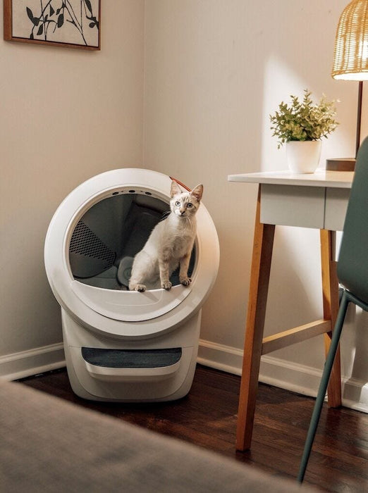 EAN 0810034226617 - Litter-Robot 4 Gato Arenero automatizado Blanco imagen 2