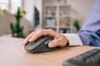 EAN 5099206134683 - Logitech Signature Comfort Plus M850 L ratón Universal mano derecha RF Wireless + Bluetooth Óptico 4000 D imagen 10