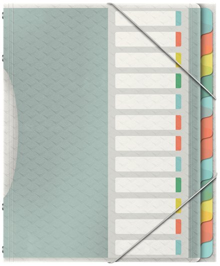 EAN 4049793053103 - Esselte 626256 lengüeta de índice Separador en blanco con pestaña Polipropileno (PP) Multicolor imagen 1