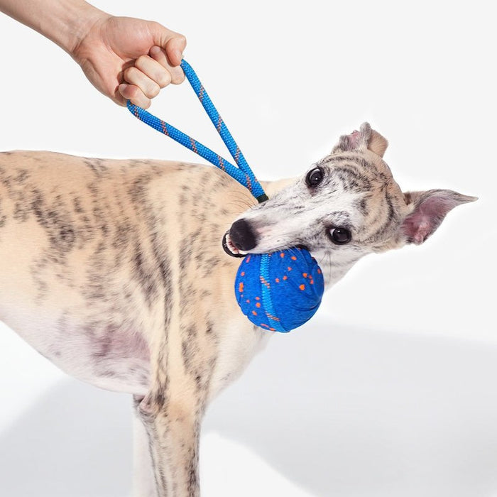 EAN 6971883205933 - Cheerble Wicked Ball Air Rope imagen 3