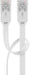 EAN 4040849933653 - Goobay 93365 cable de red Blanco 20 m Cat5e U/UTP (UTP) imagen 2
