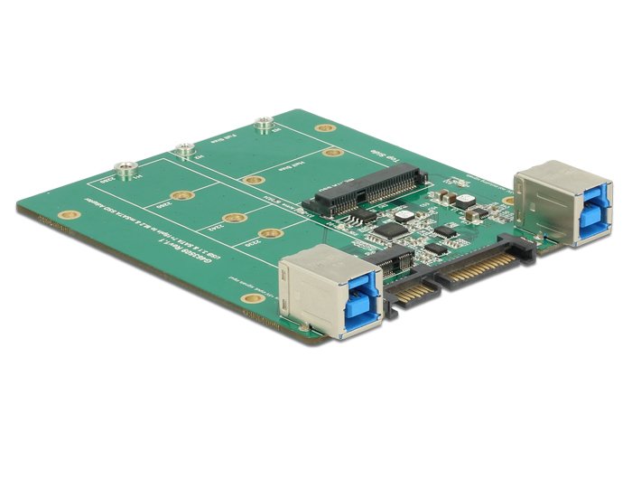 EAN 4043619627325 - DeLOCK 62732 tarjeta y adaptador de interfaz Interno M.2, mSATA imagen 1