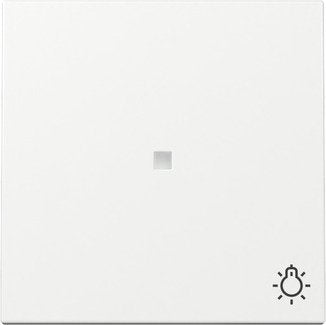 EAN 4010337041887 - GIRA 367403 placa de pared y cubierta de interruptor Blanco imagen 1