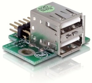 EAN 4043619417636 - DeLOCK USB Pinheader USB 2.0 A Plata imagen 1