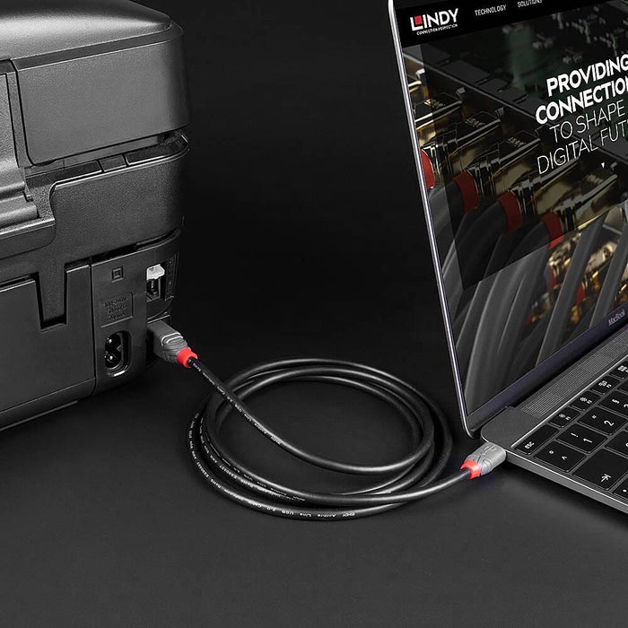 EAN 4002888369435 - Lindy 36943 cable USB USB 2.0 3 m USB C USB B Negro imagen 5