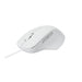 EAN 6940056122407 - Rapoo N500 ratón Oficina USB tipo A Óptico 3600 DPI imagen 4