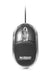 EAN 3760170841649 - Urban Factory BDM02UF ratón Ambidextro USB tipo A Óptico 800 DPI imagen 2
