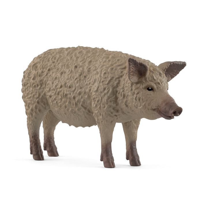 EAN 4059433762227 - schleich FARM WORLD 14892 figura de juguete para niños imagen 1